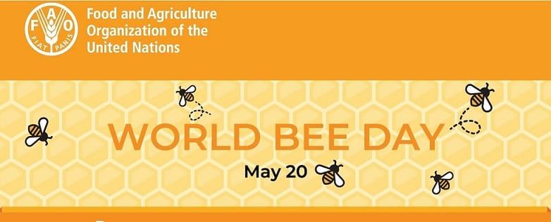 20 de Mayo 2020, día mundial de las abejas